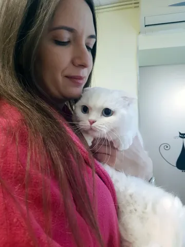 Dr Oana Alexandru at the clinic, holding a white fold-eared cat against her cheek
