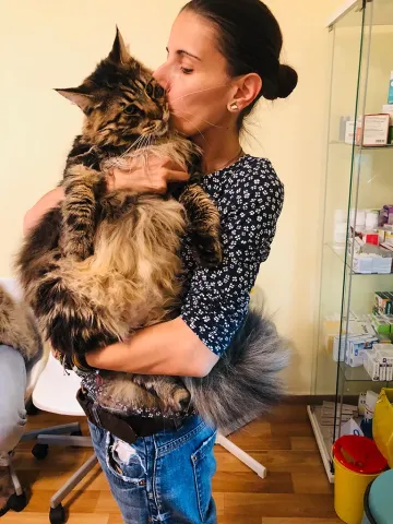Dr Rocsana Timotin at the clinic, holding a long-haired tabby cat in her arms and kissing its head